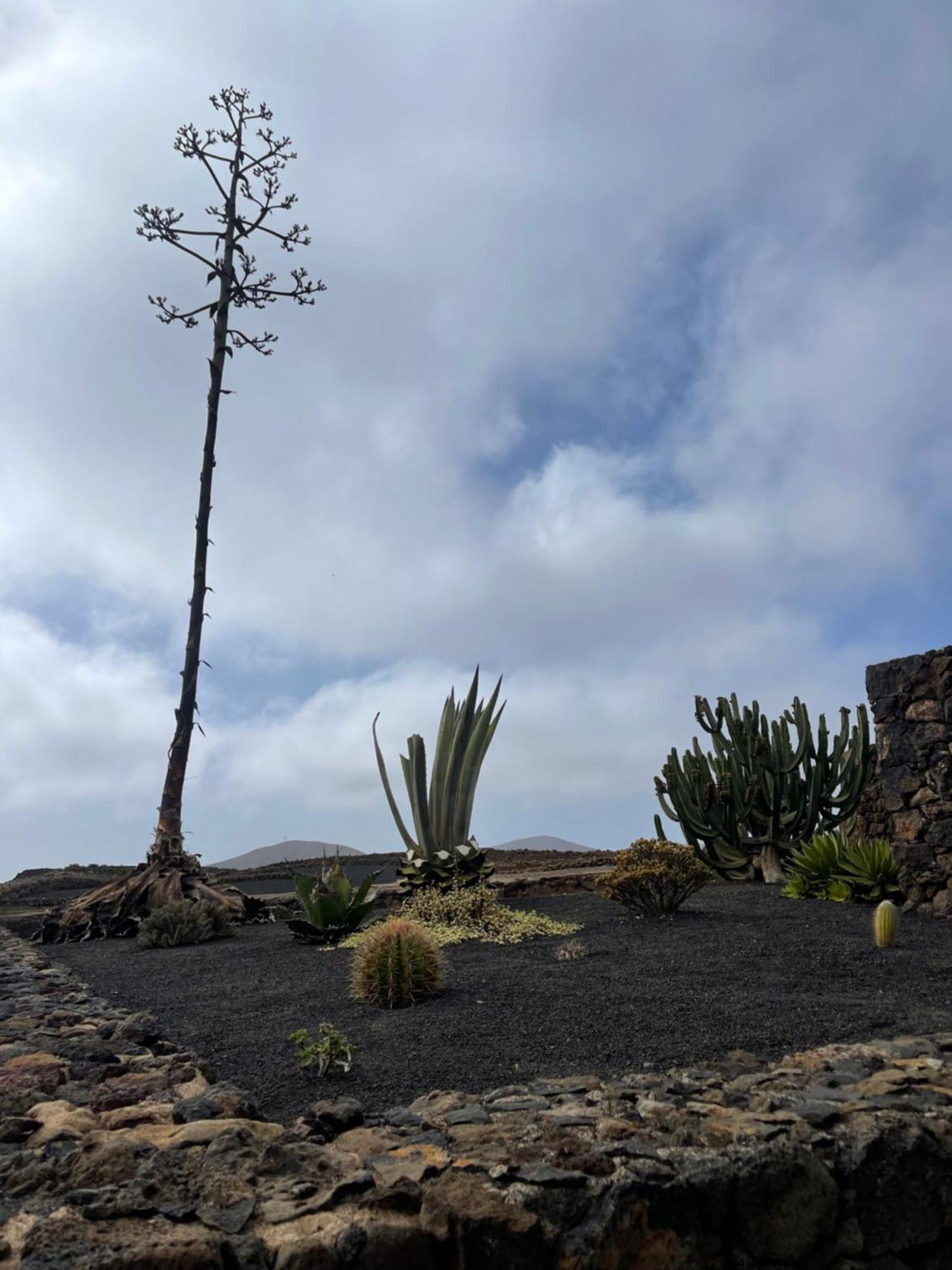 Villa Timanfaya Tinajo Εξωτερικό φωτογραφία