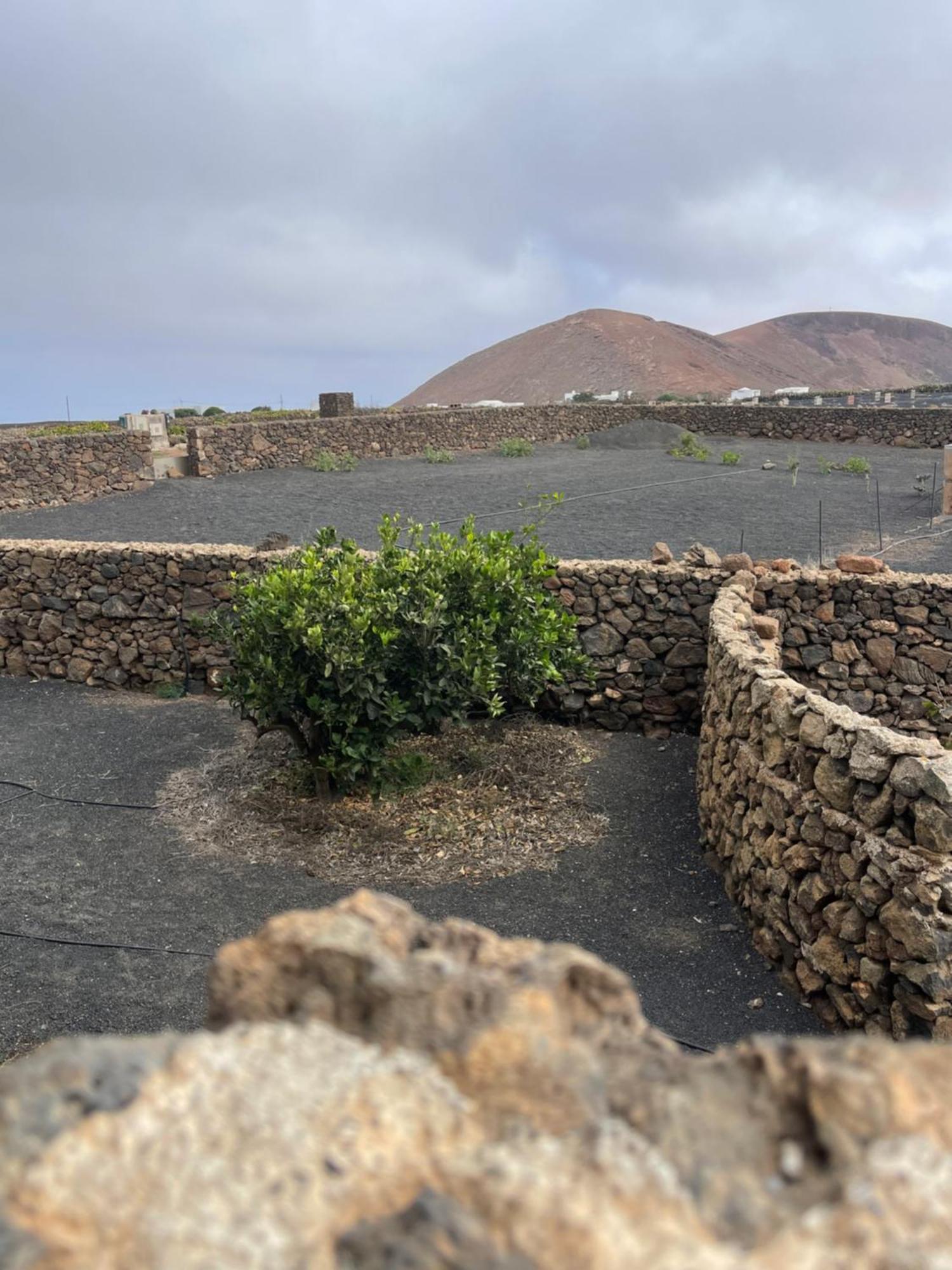 Villa Timanfaya Tinajo Εξωτερικό φωτογραφία