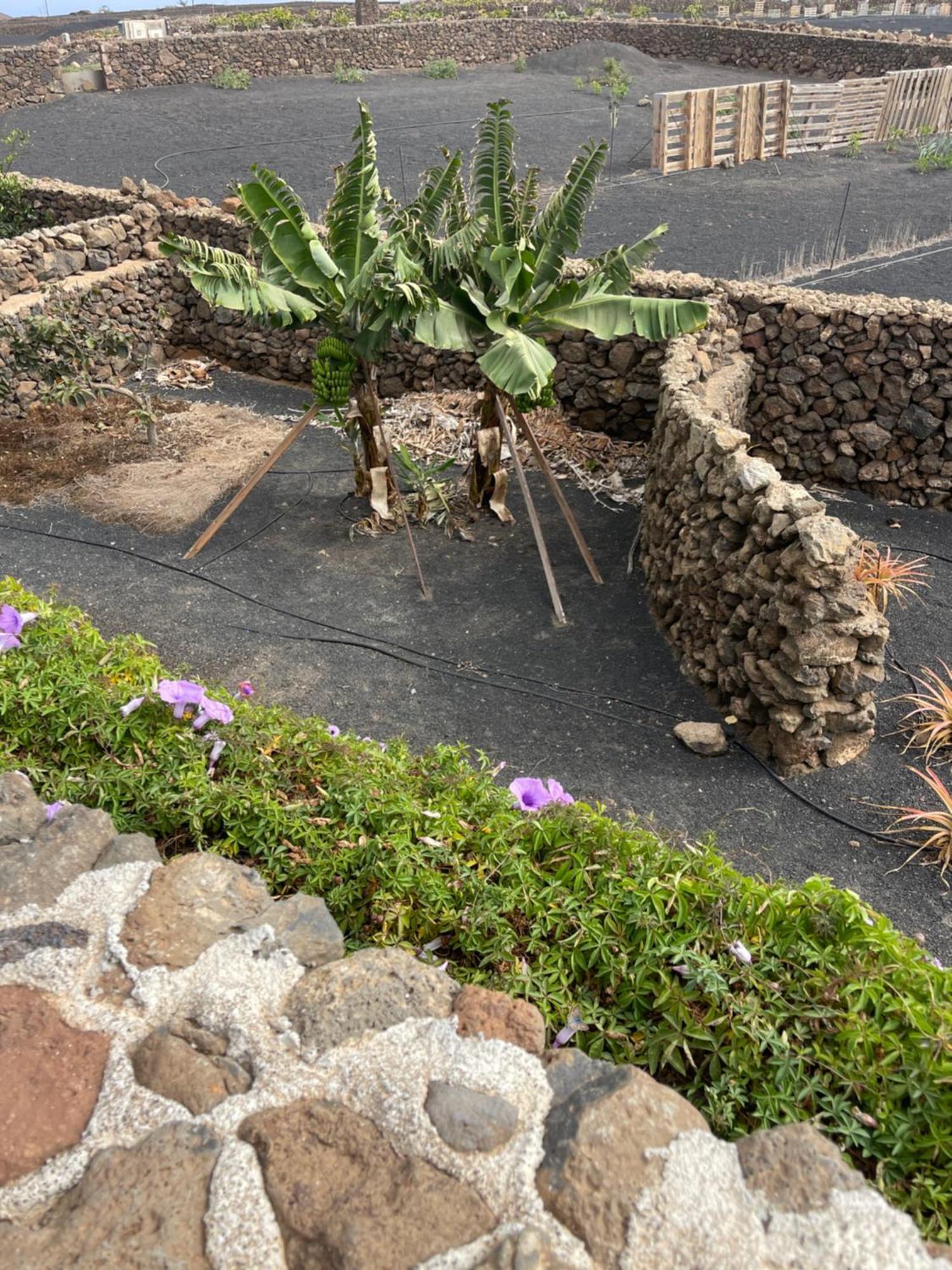 Villa Timanfaya Tinajo Εξωτερικό φωτογραφία