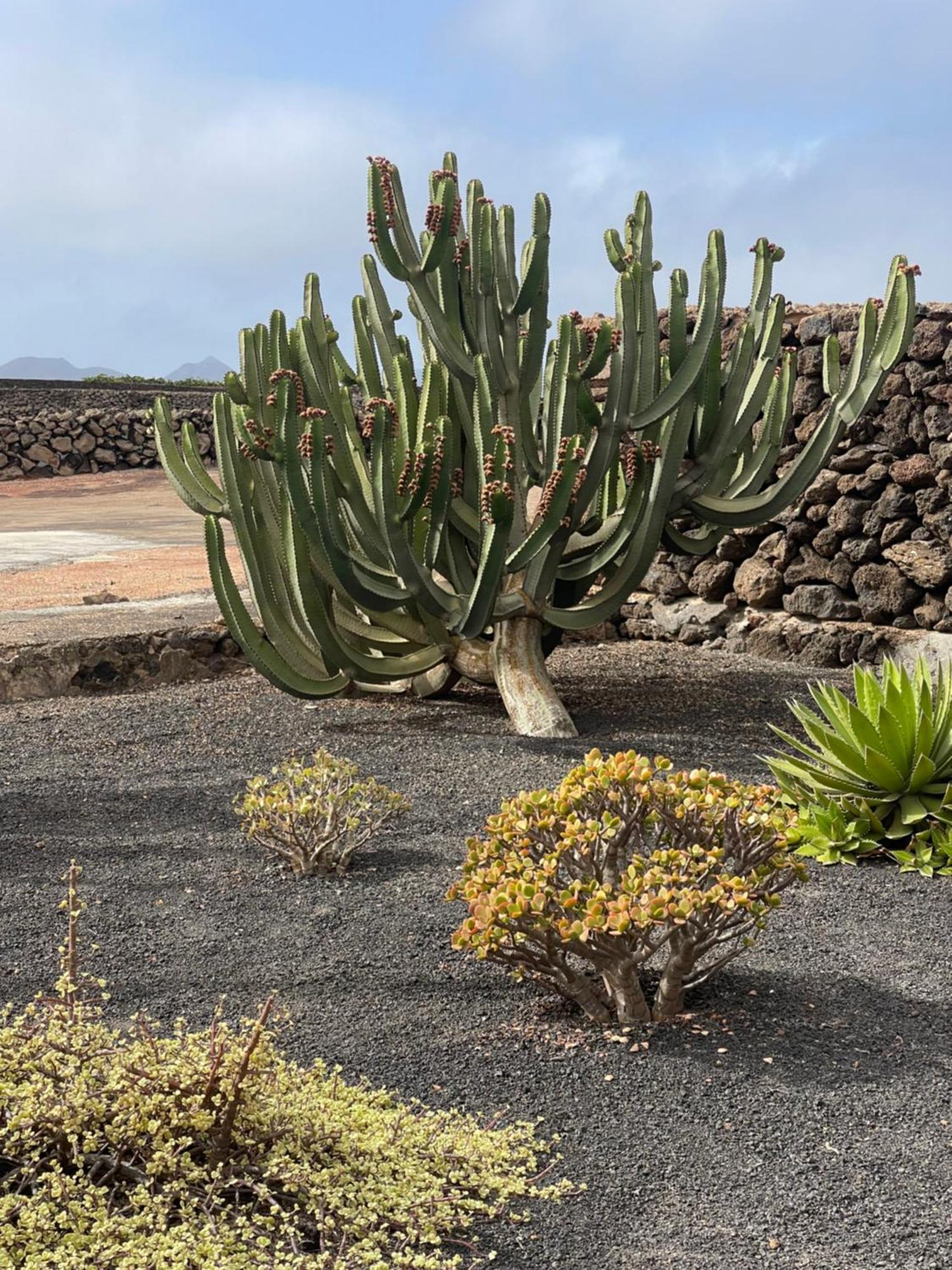Villa Timanfaya Tinajo Εξωτερικό φωτογραφία